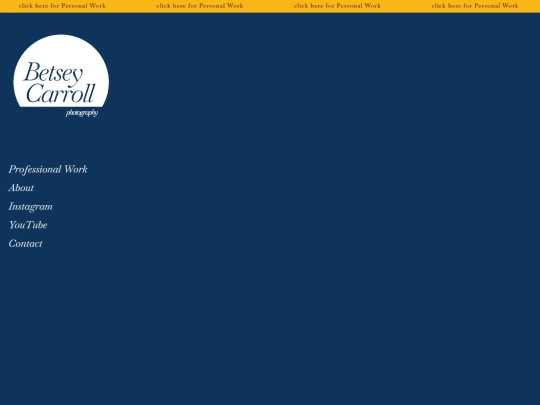 professional_home screenshot
