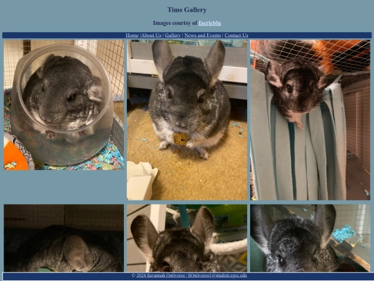 gallery screenshot
