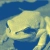 cyberhermit.neocities.org avatar