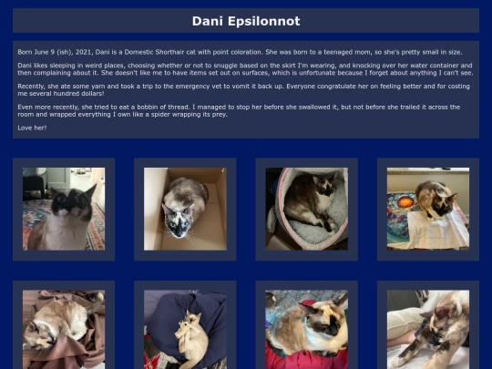 dani screenshot