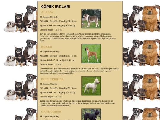 iklim performans 11A-467/irklar screenshot