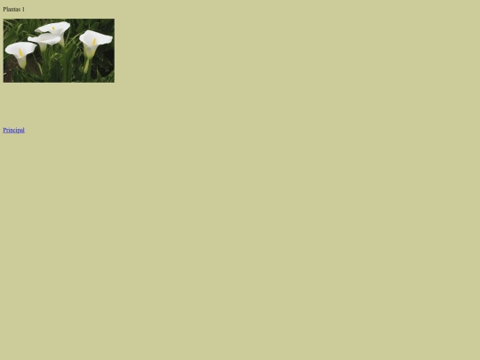 plantas1 screenshot