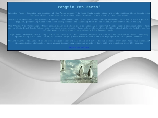 p screenshot