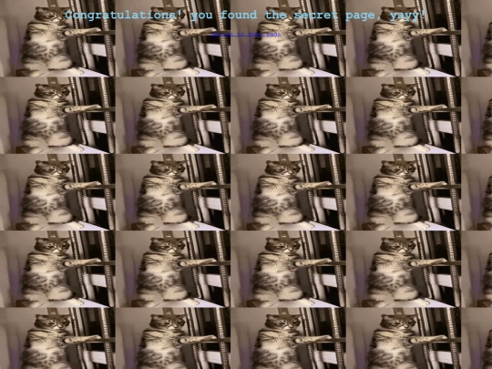 secret screenshot