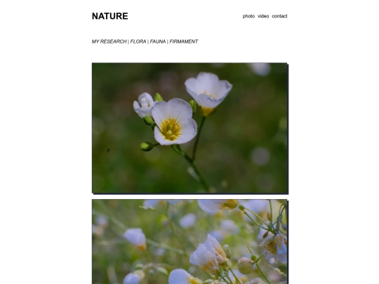 nature screenshot