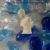 blue-evidence.neocities.org avatar
