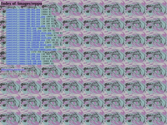 images/reppu screenshot