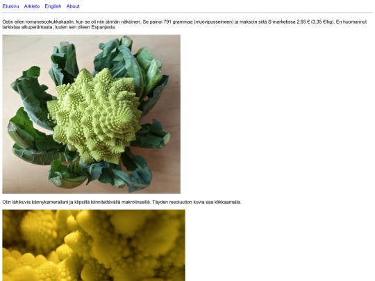 posts/2021-01-21-Fraktaalikaali screenshot
