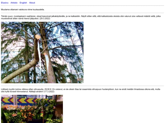 posts/2022-04-09-Kuvia screenshot
