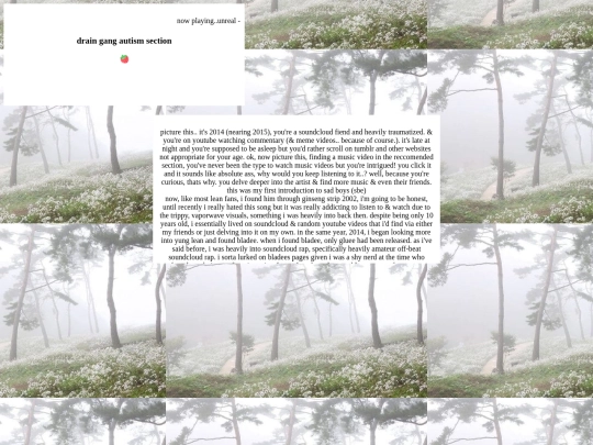 drain2 screenshot