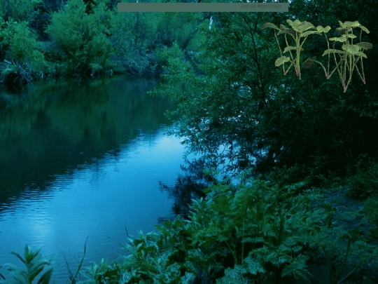 fridayescape screenshot