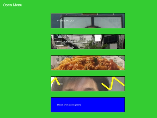 galleries/exhibition screenshot