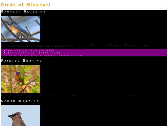 birds screenshot