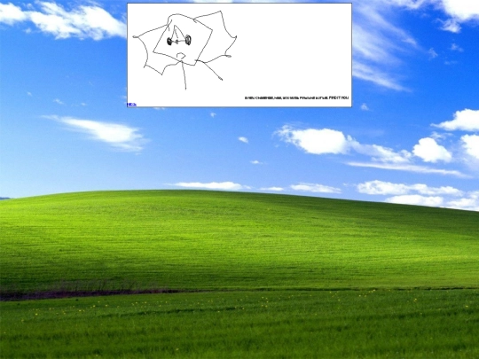 campshit/turtle/1 screenshot