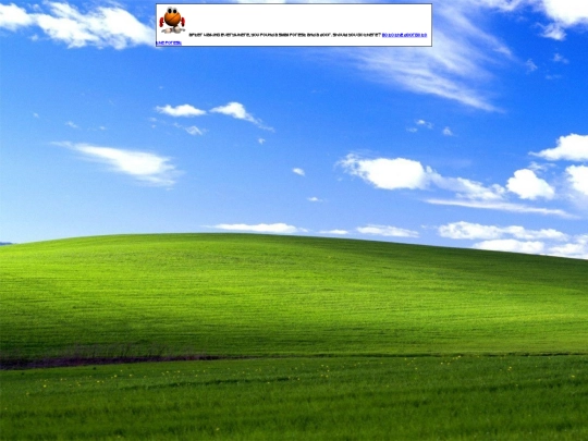 campshit/turtle/2 screenshot
