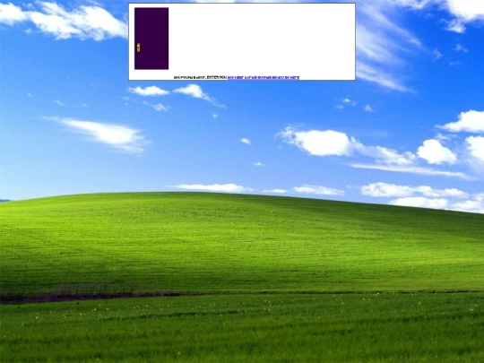 campshit/turtle/3 screenshot