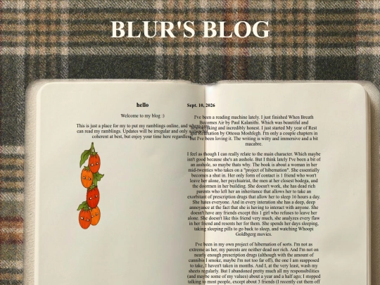 blog screenshot