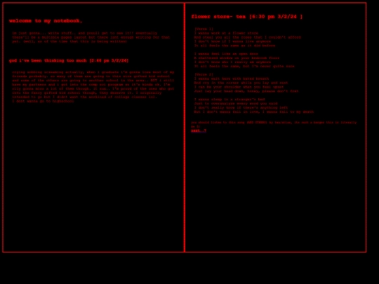 diaiaiary screenshot