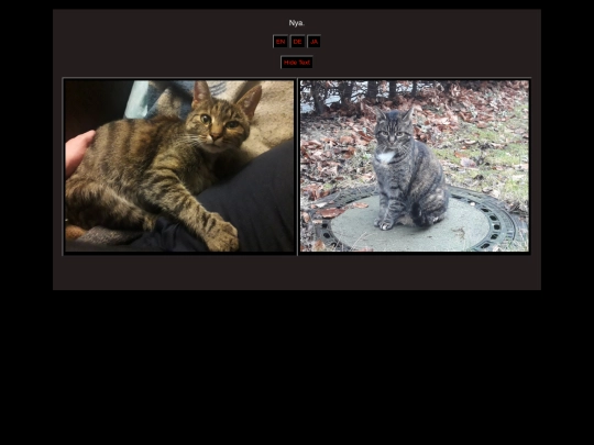 cat_test screenshot