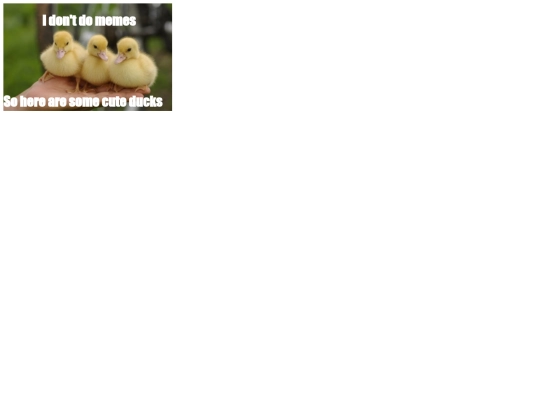 meme screenshot