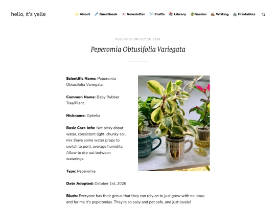 blog/peperomia-obtusifolia-variegata screenshot