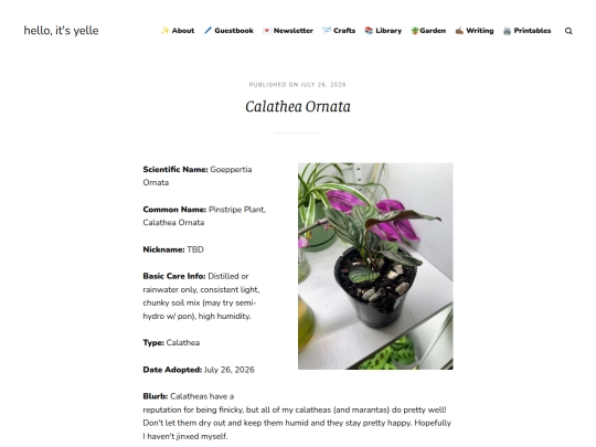 calathea-ornata screenshot