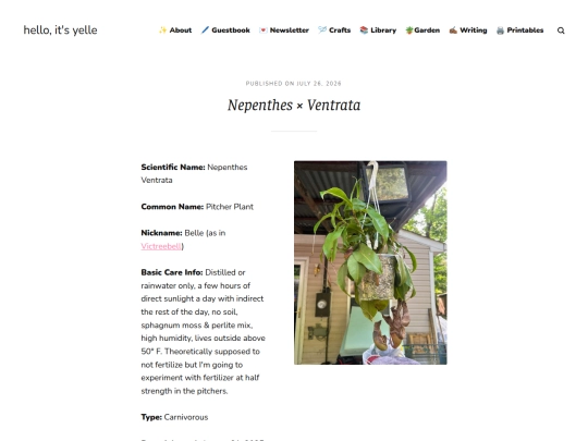 nepenthes-x-ventrata screenshot