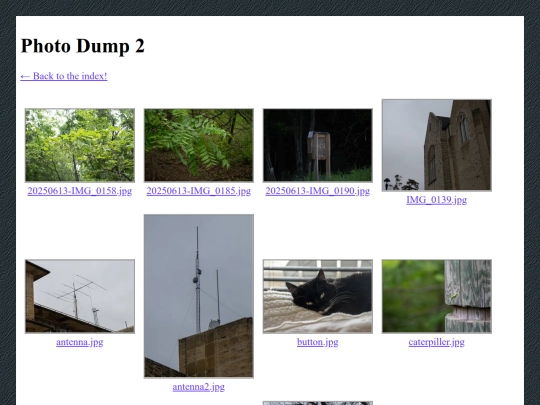 art/photo-dump-2 screenshot