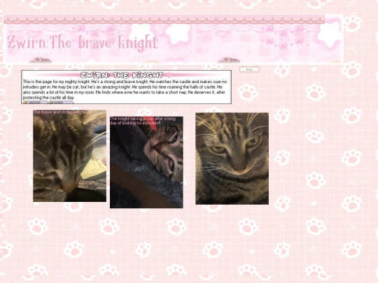 Kitty screenshot