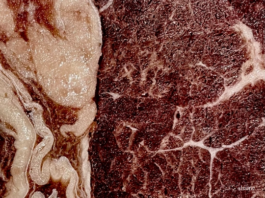 meat screenshot