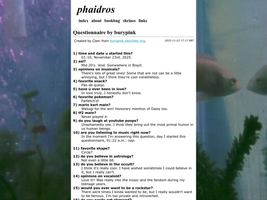 writings/questionnaire screenshot