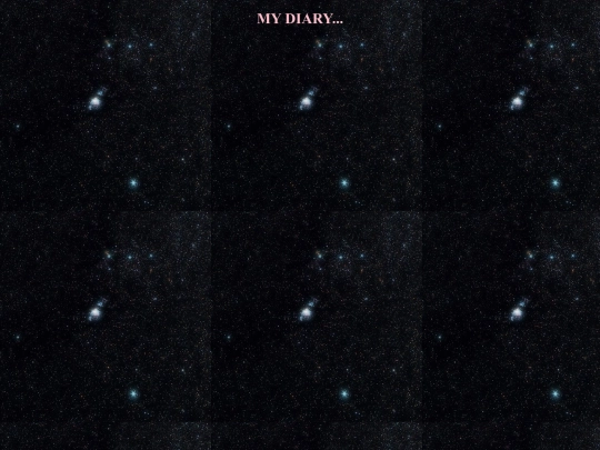 DIARY screenshot