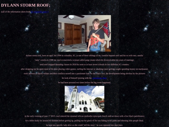 dylannroof screenshot