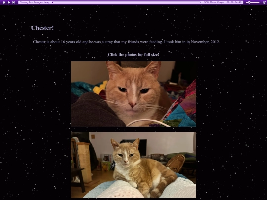 chester screenshot