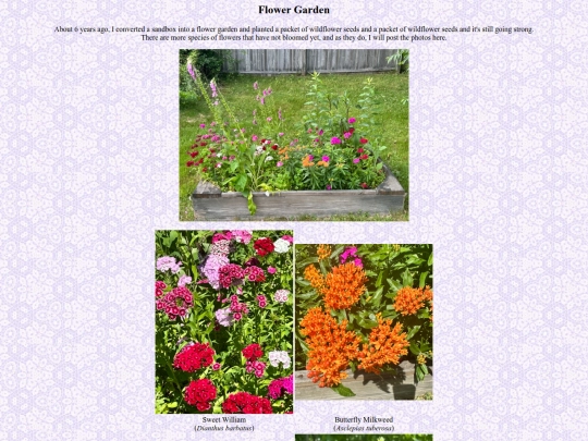 flower_garden screenshot