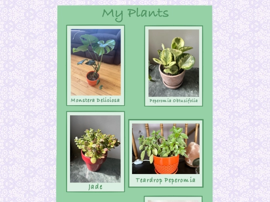 plants screenshot