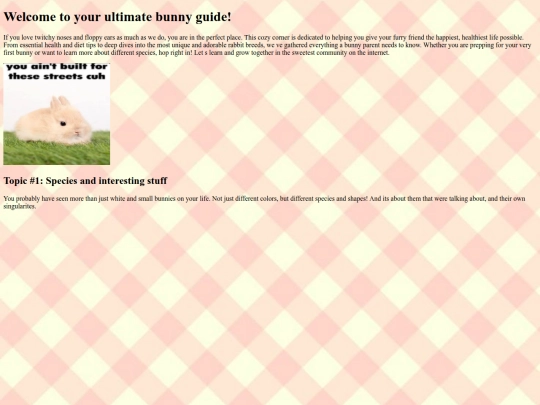 bunnyonly screenshot