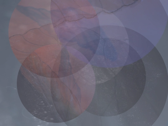 weirdweboctober2025/day 1 - transparency/wings screenshot
