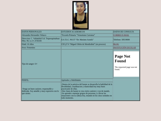 Curriculum Vitae screenshot