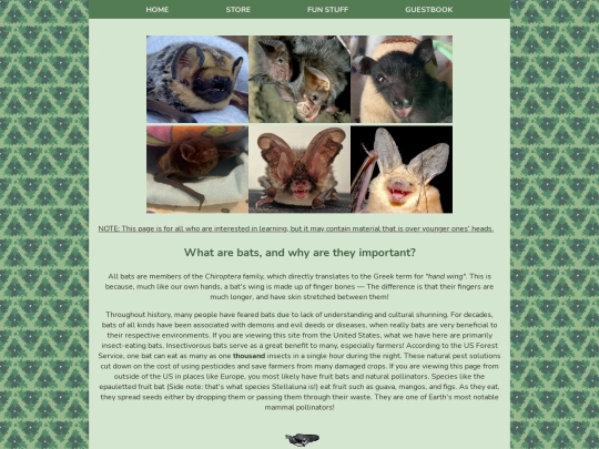bat_learning screenshot