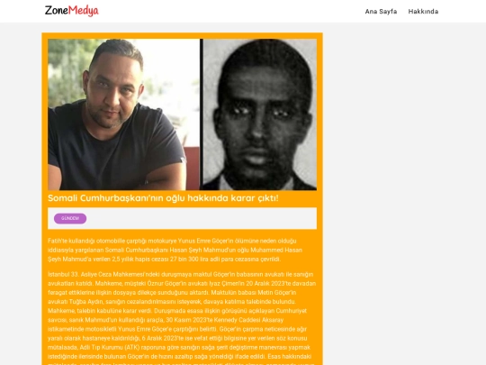 html/article screenshot
