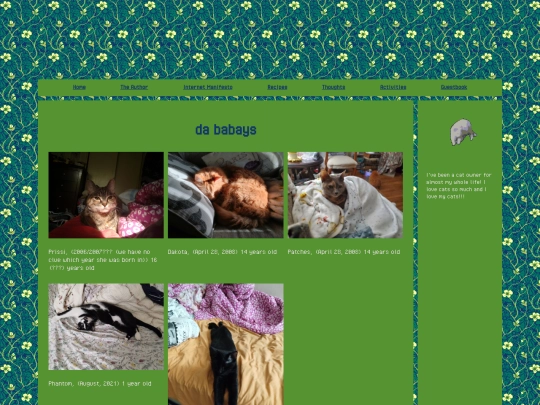 mycats screenshot