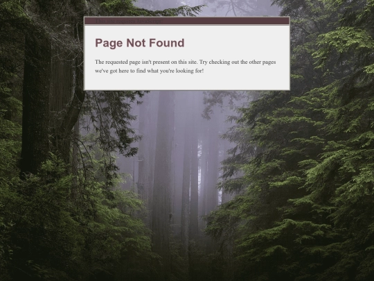 not_found screenshot