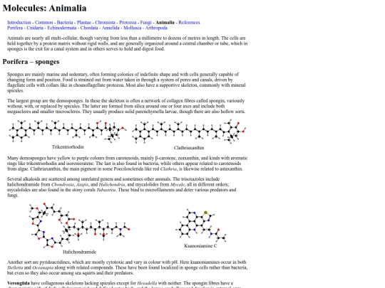 chemlife/Animalia screenshot