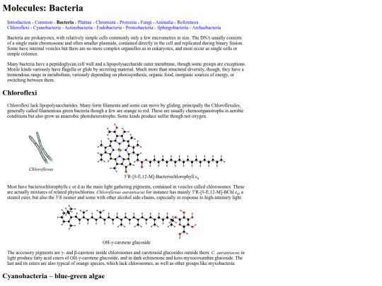 chemlife/Bacteria screenshot