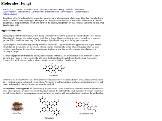 chemlife/Fungi screenshot