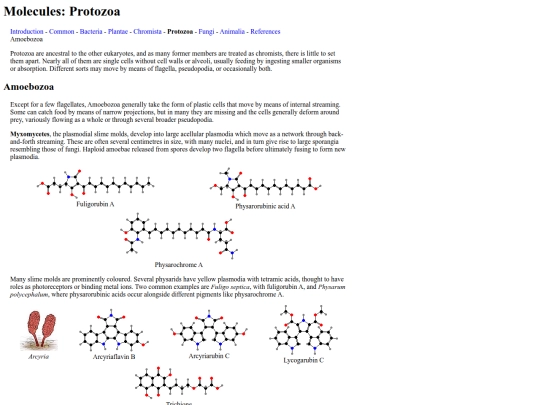 chemlife/Protozoa screenshot