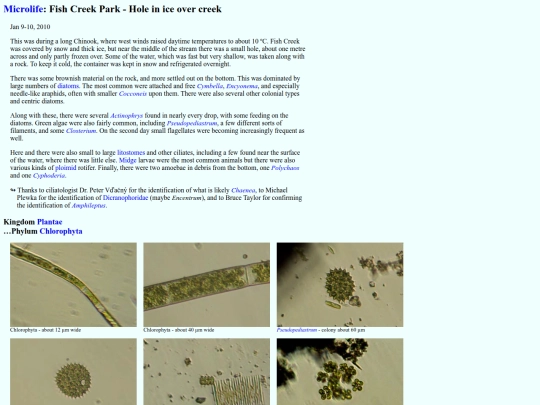 microlife/FC1001 screenshot