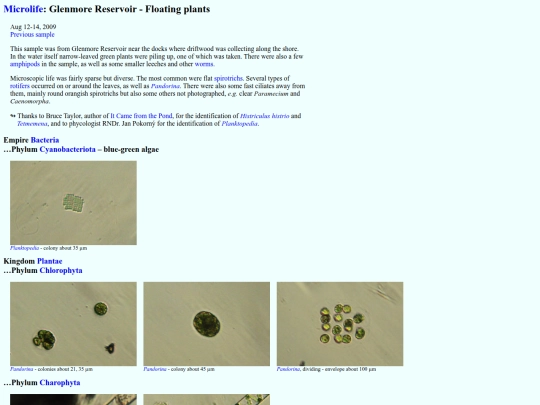 microlife/GR0908 screenshot