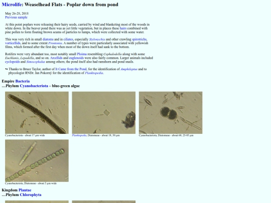 microlife/GR1805 screenshot